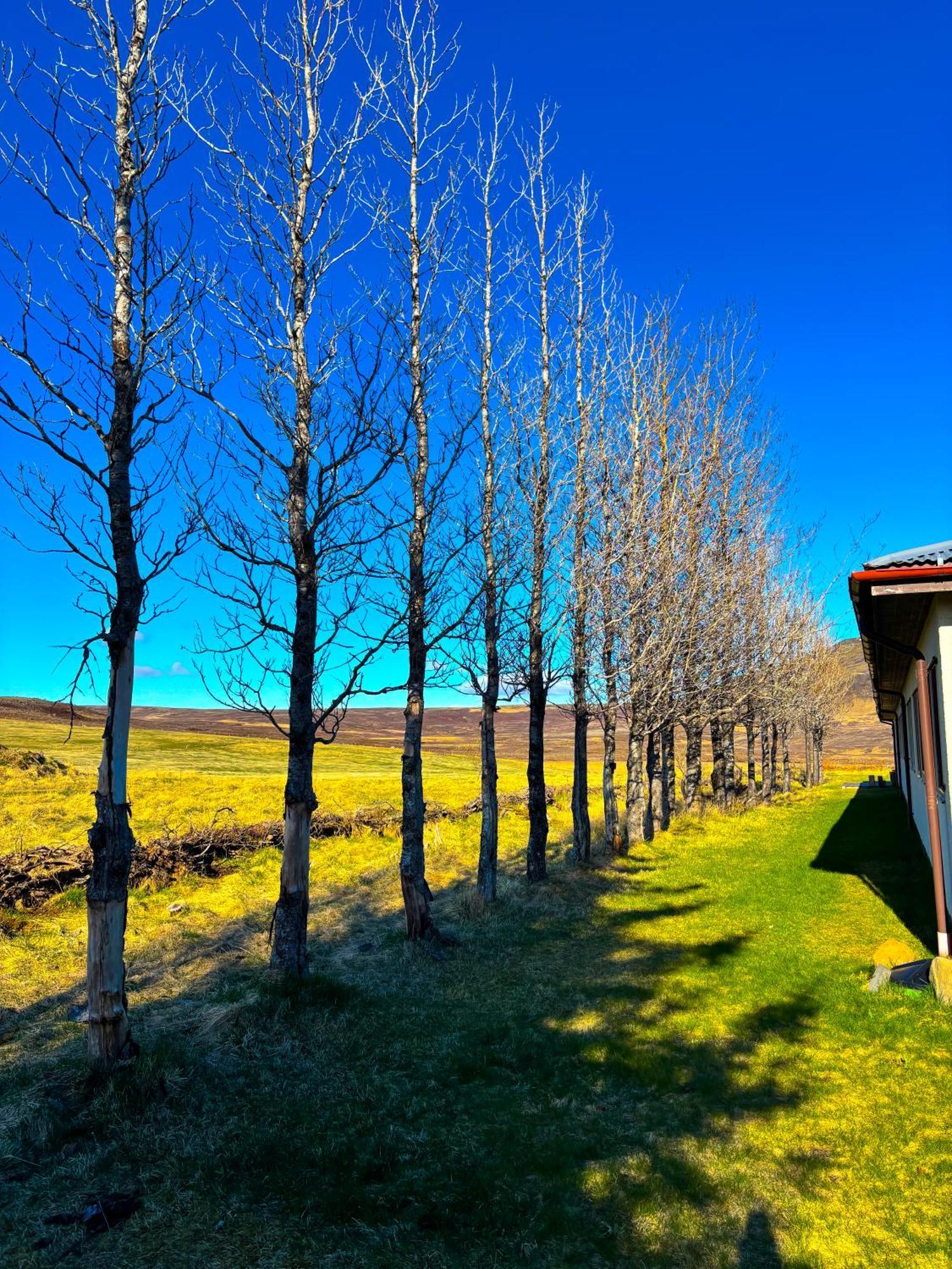 Hotel Bru Country Estate Selfoss Zewnętrze zdjęcie